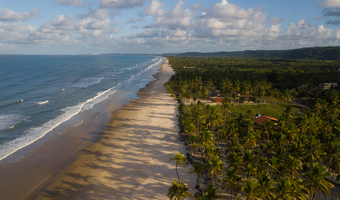 Google Ads - Passeios em Ilhéus 5 aerial view beach with coconut trees coast ilheus bahia brazil